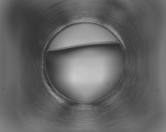 X0000073990437200608211046