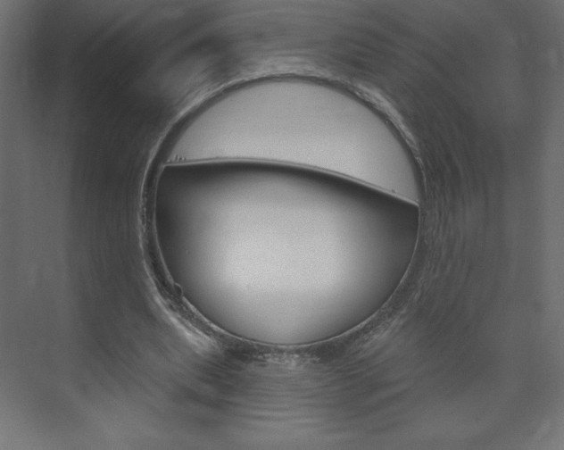 X0000073990439200608211046