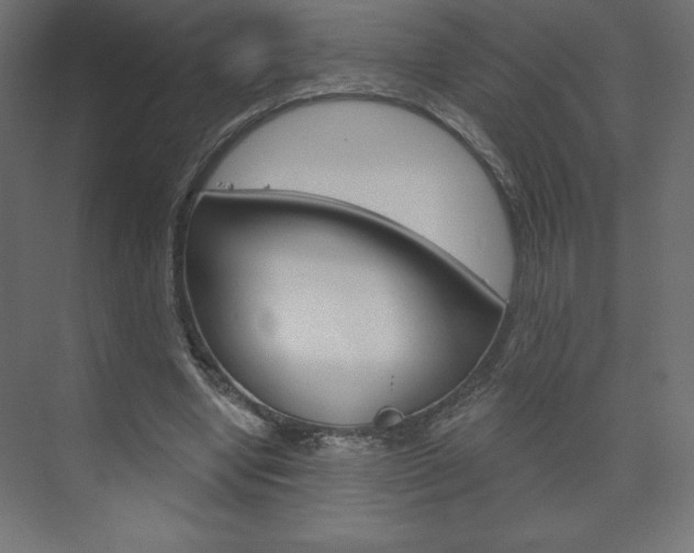 X0000073990442200608211046