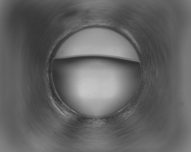 X0000073990443200608211046