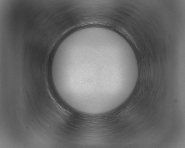 X0000073990444200608211046