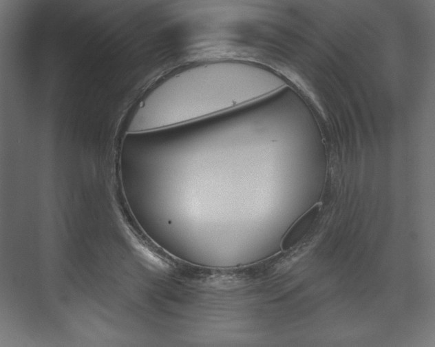 X0000073990445200608211046