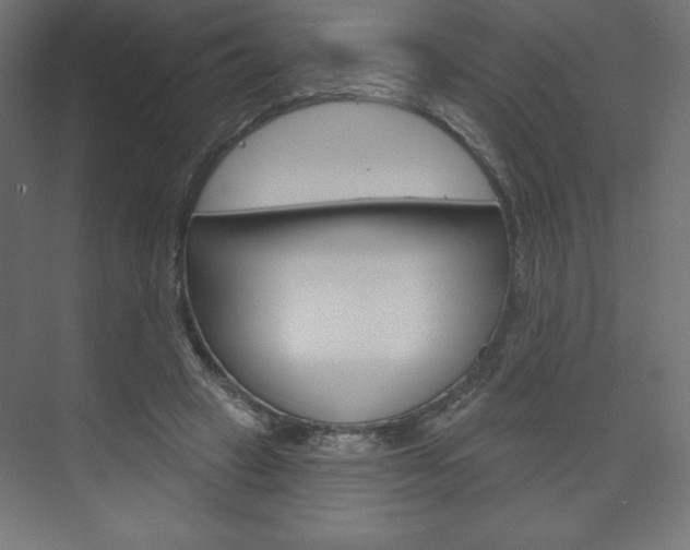 X0000073990449200608211046