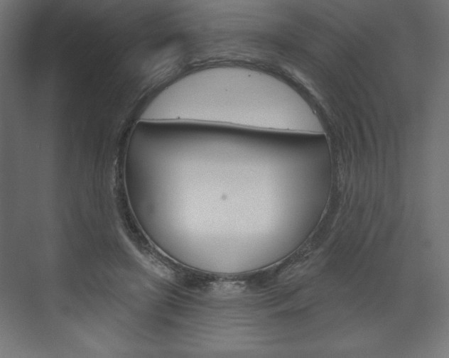 X0000073990451200608211046