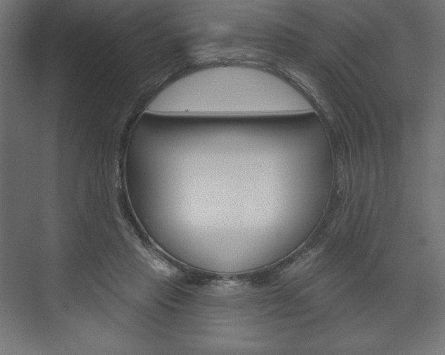 X0000073990453200608211046