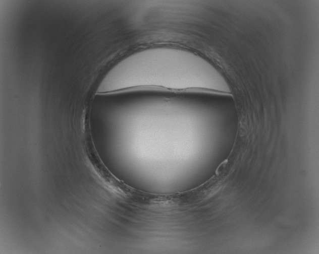 X0000073990454200608211046