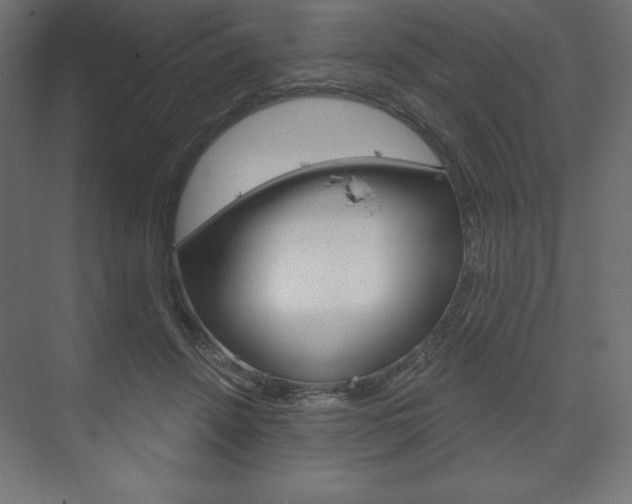 X0000073990456200608211046