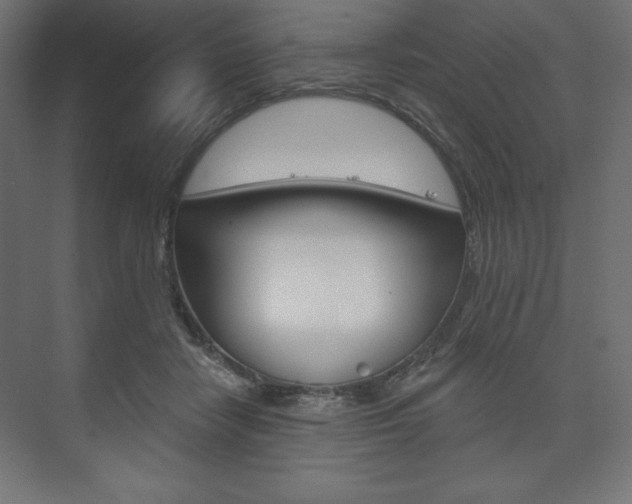 X0000073990458200608211046