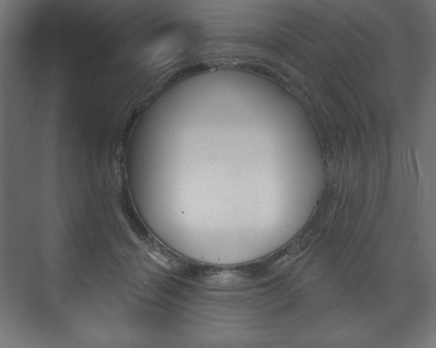 X0000073990460200608211046