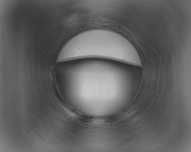 X0000073990462200608211046