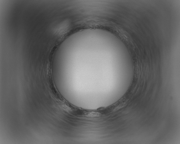X0000073990463200608211046