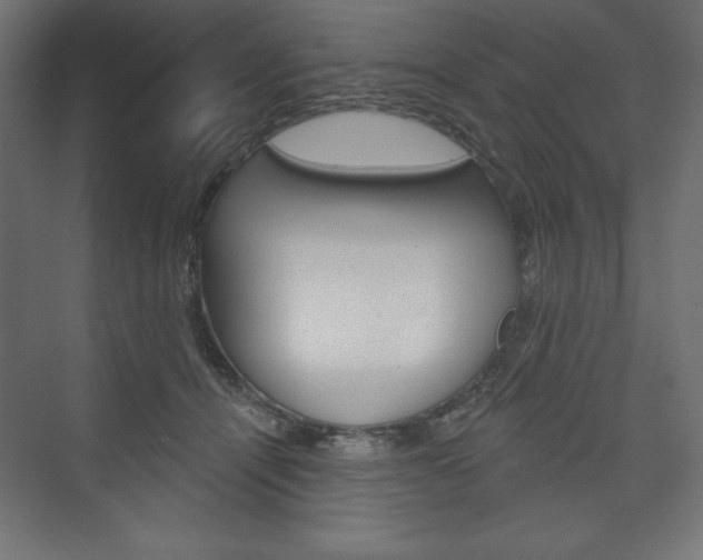 X0000073990464200608211046