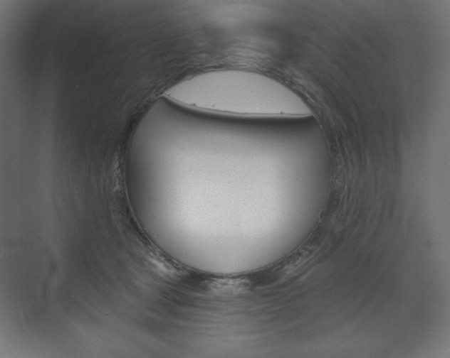 X0000073990465200608211046