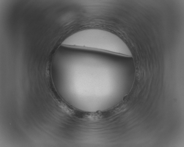 X0000073990466200608211046