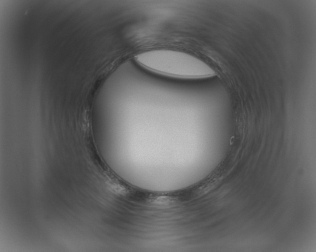 X0000073990467200608211046