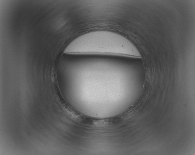 X0000073990470200608211046