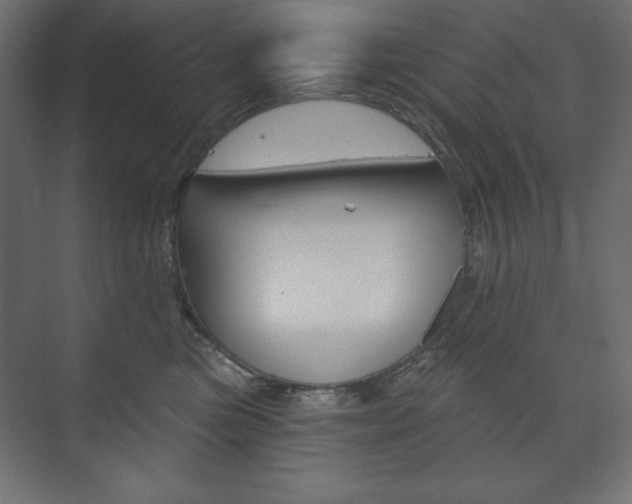 X0000073990473200608211046