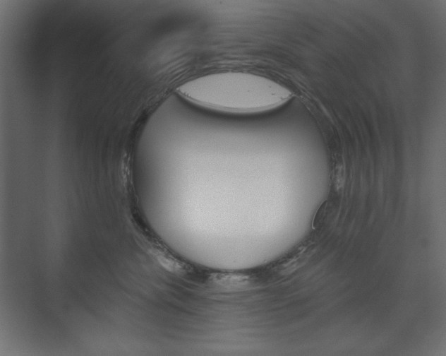 X0000073990476200608211046