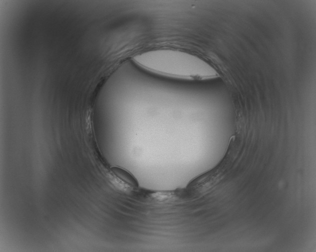 X0000073990477200608211046