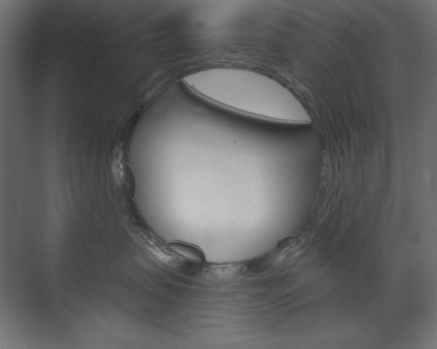X0000073990479200608211047
