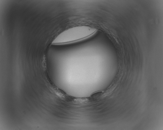 X0000073990480200608211047