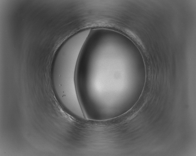 X0000073990481200608211046