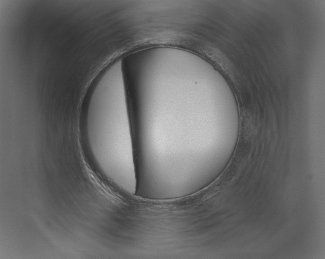 X0000073990482200608211046