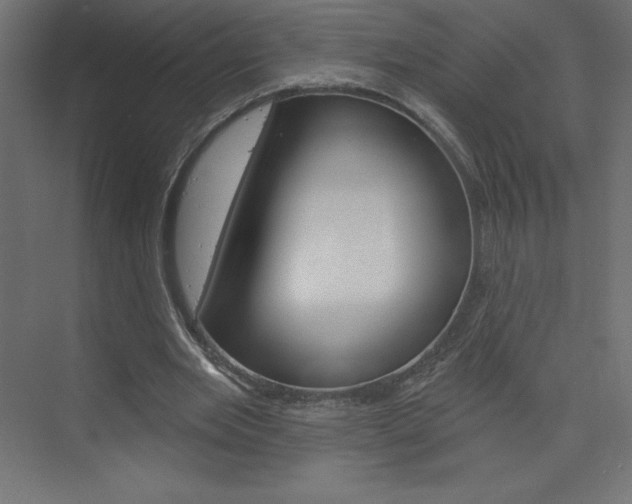 X0000073990485200608211046