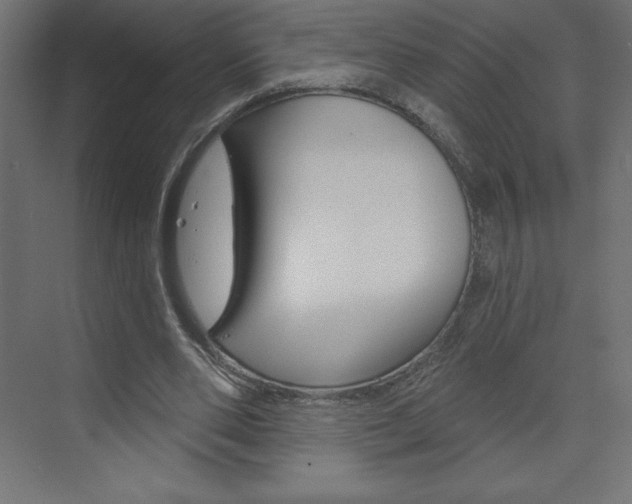 X0000073990486200608211046