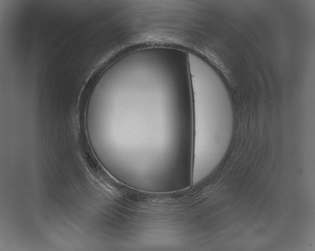 X0000073990488200608211046