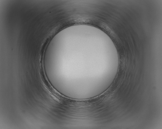X0000073990490200608211046