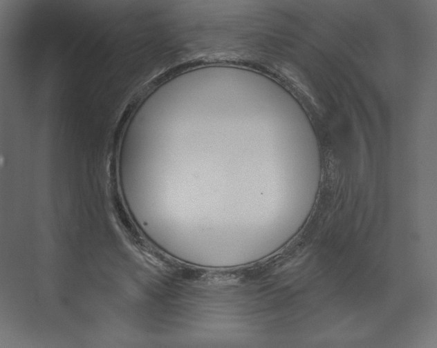 X0000073990491200608211046