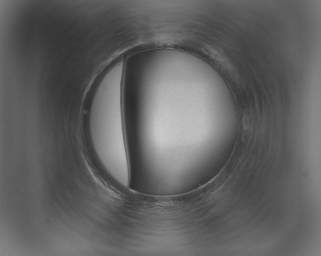 X0000073990492200608211046