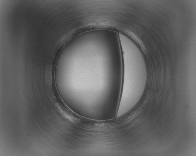X0000073990493200608211046