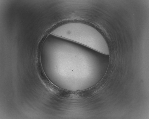 X0000073990496200608211045