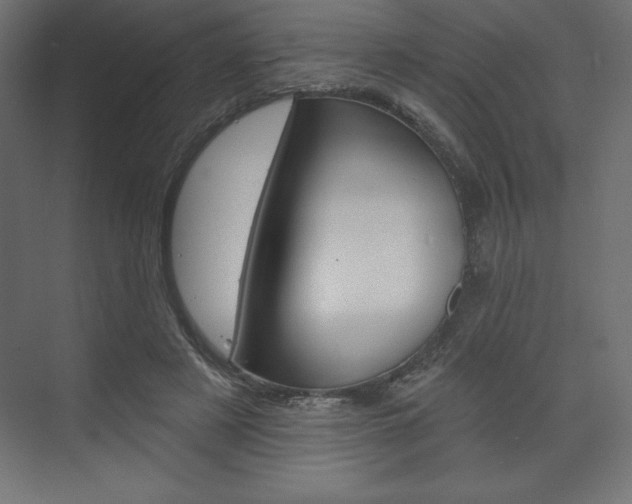 X0000073990497200608211045