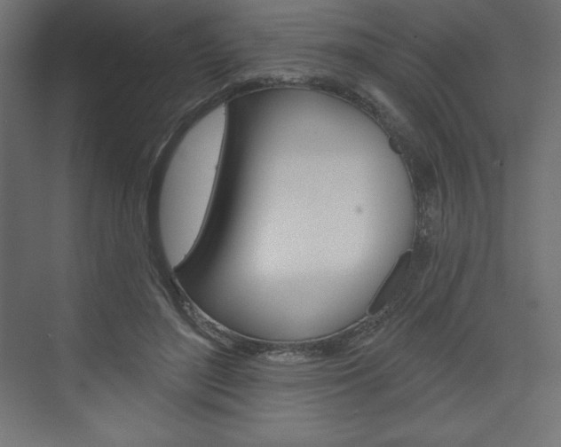 X0000073990500200608211045