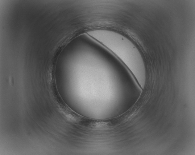 X0000073990501200608211045
