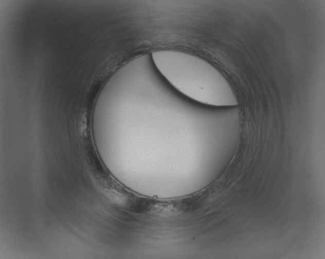X0000073990502200608211045