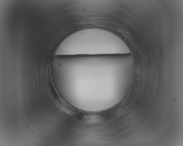 X0000073990503200608211045