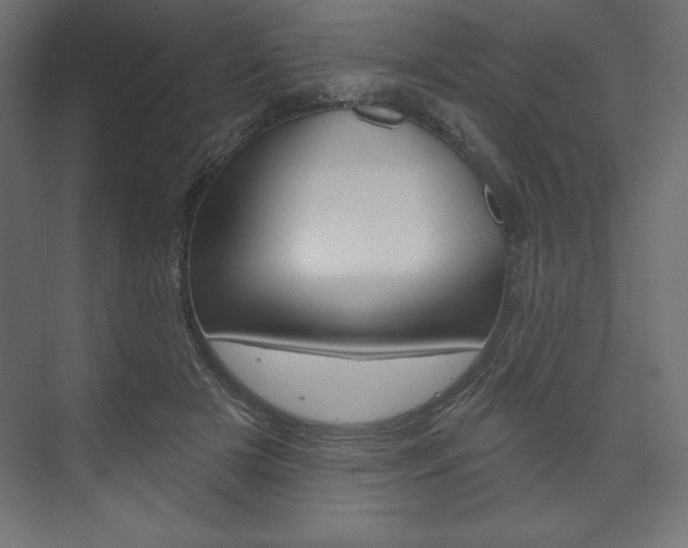 X0000073990505200608211045