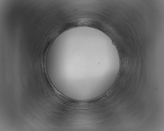 X0000073990506200608211045