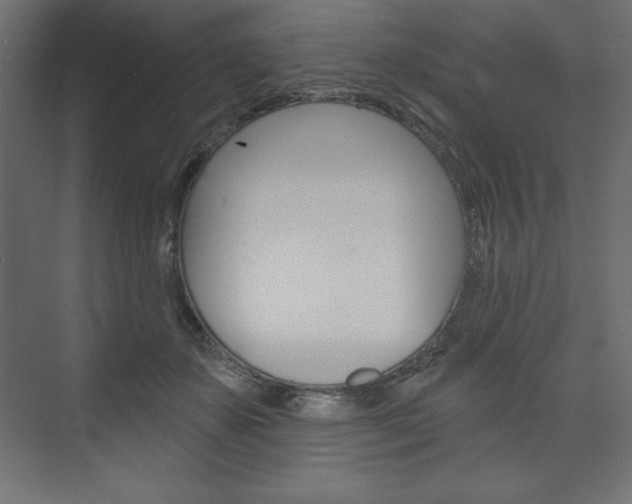 X0000073990507200608211045