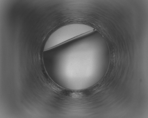 X0000073990508200608211045