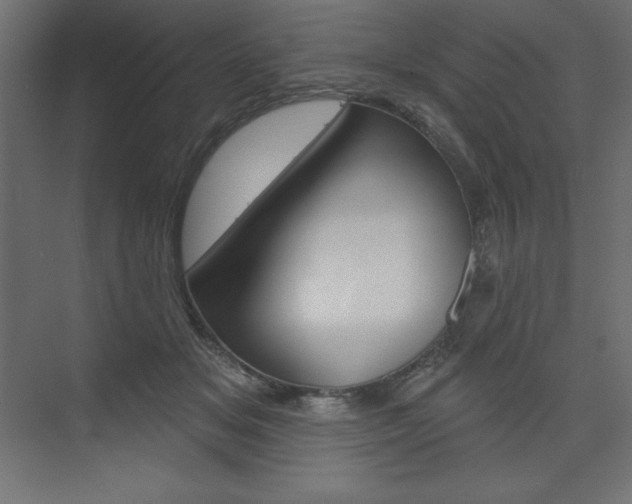 X0000073990509200608211045