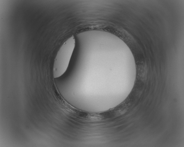 X0000073990510200608211045