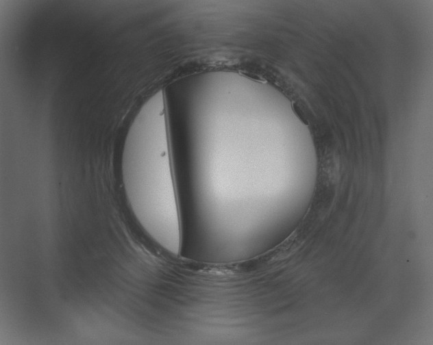 X0000073990512200608211045