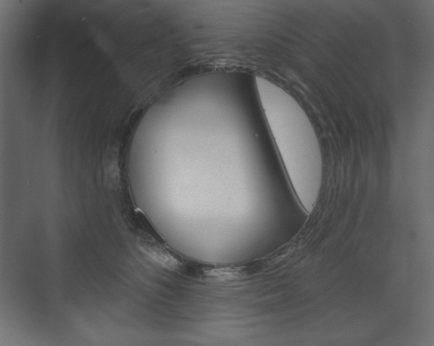 X0000073990516200608211045