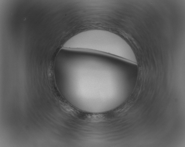 X0000073990517200608211045