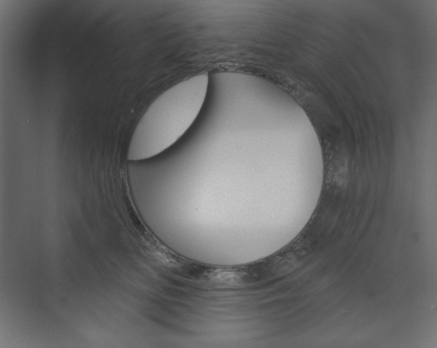 X0000073990518200608211045